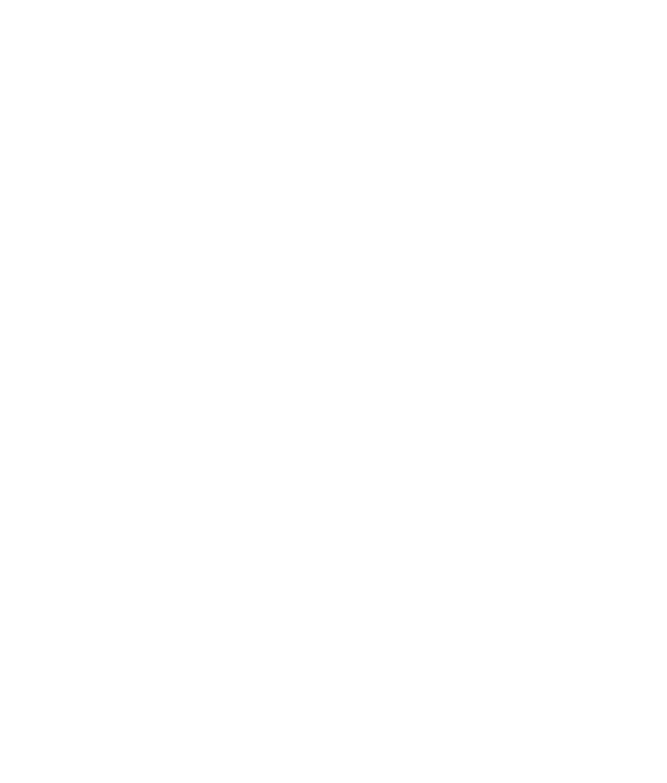 logo ln formation blanc